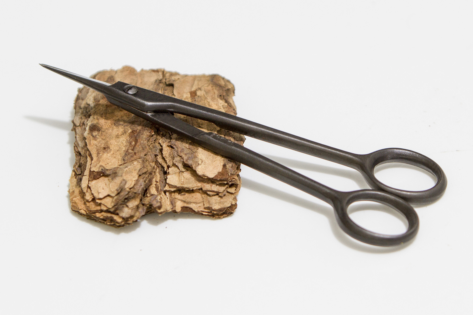 Tijeras Masakuni Bonsai Colombia Bonsai Colombia