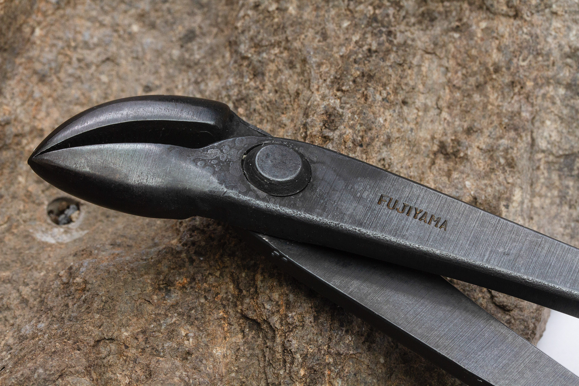 Alicate para jin Bonsai Colombia Bonsai Colombia